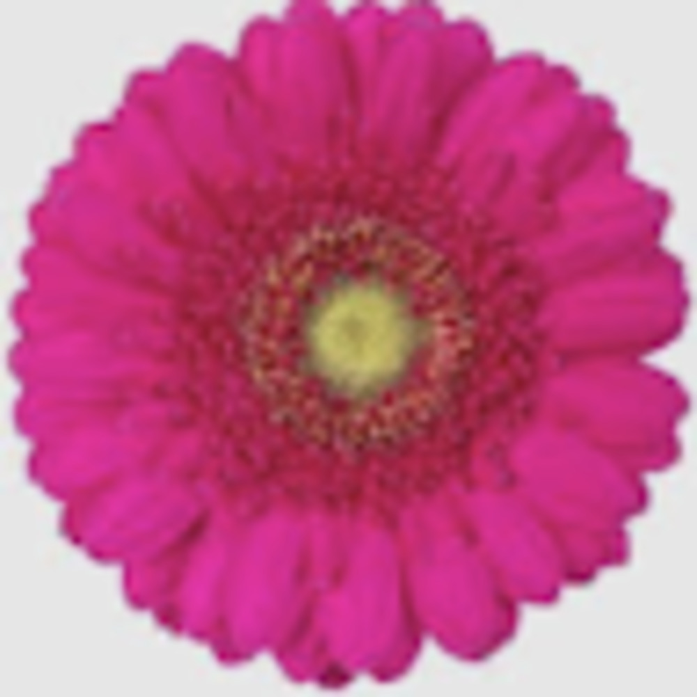 Meet your Posher, Drop of the sea